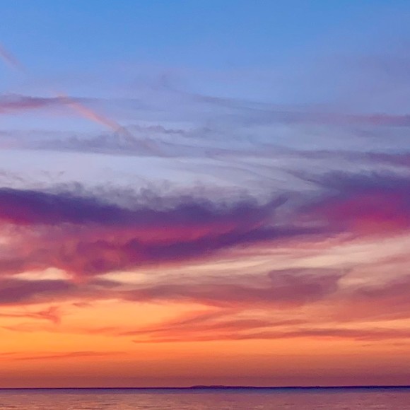 Meet your Posher, Vivian - Picture 1 of 1